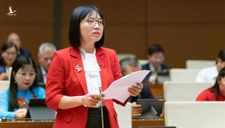 Viên chức ‘chân trong, chân ngoài’: Có nên vừa làm lãnh đạo vừa làm giám đốc