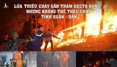 Hà Tĩnh: Lửa cướp gần trăm hecta rừng, nhưng không thể thiêu cháy tình quân dân