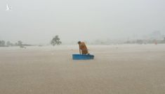 Phú Quốc đã hứng chịu đợt mưa ‘hiếm gặp’ tới gần 1.000mm