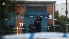Cảnh sát Anh yêu cầu ngưng suy đoán quốc tịch 39 người chết trong xe container