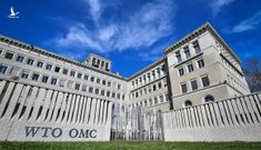 Chính quyền Trump làm tê liệt WTO giữa cơn bão thương chiến