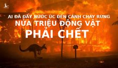 Nguyên nhân cháy rừng ở Úc, cửa địa ngục được mở từ đâu?