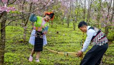 Sắc xuân, không khí Tết ngập tràn các bản làng nơi cực Tây Tổ quốc