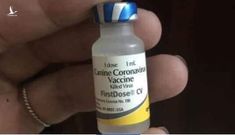 Văcxin phòng 7 bệnh cho chó được rao bán để ‘diệt virus corona’?