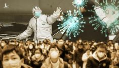 Viện Virus học Vũ Hán phản bác thông tin virus corona là nhân tạo