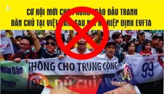 “Mặt dày như mo, ăn no phá hoại”