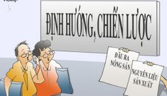 Bài toán “đau đầu” từ chiếc khẩu trang, quả dưa hấu