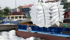 Bộ NN-PTNT đề nghị Bộ Công thương tiếp tục cho xuất khẩu gạo nếp