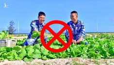 Trồng rau, nuôi lợn… chiêu trò xâm phạm chủ quyền mới của Quân đội Trung Quốc