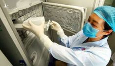 Phòng thí nghiệm Vũ Hán tìm thấy cả “thế giới virus corona” trong cơ thể dơi