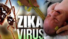 Đà Nẵng: Phát hiện một bệnh nhân nhiễm Zika gây bệnh đầu nhỏ