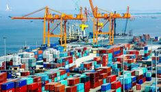 Nếu làm như Hải Phòng, TP.HCM dự kiến thu phí cảng biển hơn 2.700 tỷ đồng/năm