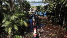 Covid-19 tàn phá cộng đồng Amazon