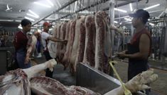 Giá bán thịt heo bình ổn tăng cao nhất 29.000 đồng/kg từ 16-6