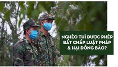 Nghèo thì được phép bất chấp luật pháp và hại đồng bào?