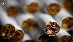 Phát hiện chất nicotine có thể làm giảm nguy cơ nhiễm Covid-19