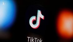 VNG khởi kiện TikTok đòi bồi thường 221 tỉ đồng