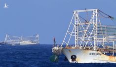 Nhận diện tàu cá Trung Quốc: Phá rối thăm dò khảo sát dầu khí