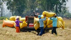 Báo Thái: Việt Nam đang khiến cả Đông Nam Á ghen tị