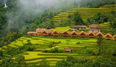 Các homestay Hà Giang cho chuyến ngắm mùa vàng Hoàng Su Phì