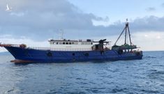 Bắt giữ tàu cá Trung Quốc vào vùng biển Quảng Ninh khai thác trái phép