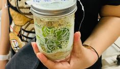 Thêm nhiều bệnh nhân ăn thực phẩm Minh Chay tới Bệnh viện Bạch Mai khám