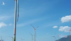 Tạm dừng bổ sung quy hoạch các dự án điện gió