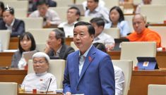 Bộ trưởng Trần Hồng Hà: Rừng còn quan trọng hơn cả trời