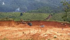 Lại chuyện ‘khủng long chui lọt lỗ kim’ ở Lâm Đồng