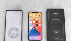 iPhone 12 Pro Max đầu tiên về Việt Nam, giá 53 triệu đồng