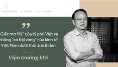 Viện trưởng VIAS: Cần vài chục công ty như Vingroup, Viettel… để nâng tầm kinh tế Việt Nam