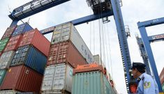 Chuyện lạ: Xuất khẩu nông sản Việt giảm hơn một nửa vì thiếu… container
