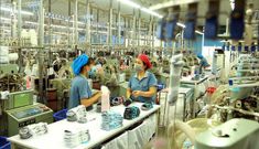 McKinsey: Việt Nam sẽ có 12 hệ sinh thái với doanh thu 100 tỷ USD vào 2025