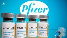 Đề nghị Bộ Y tế phê duyệt khẩn cấp vắc xin của Pfizer