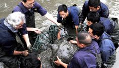Guardian: Loài động vật tuyệt chủng xuất hiện tại Việt Nam