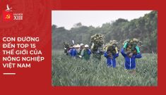 Con đường đến top 15 thế giới của nông nghiệp Việt Nam