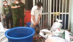 Ốc ngâm hóa chất: Cảnh sát môi trường TP.HCM đột kích cơ sở chế biến ở Q.8
