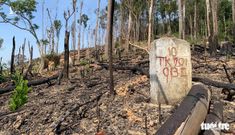 Mở rộng điều tra vụ án ‘làm ngơ cho lâm tặc phá rừng’ tại Đắk Lắk