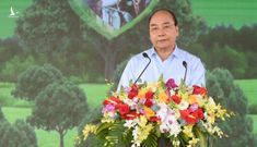 Thủ tướng phát động Tết trồng cây, trồng mới 1 tỷ cây xanh