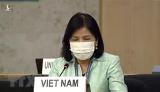 Những kẻ không hiểu gì về nền dân chủ của Việt Nam