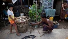 WFP: Đảo chính, bạo loạn – Myanmar tự đẩy mình vào nghèo đói