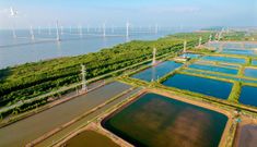 Sơ kết Nghị quyết 120 về phát triển bền vững Đồng bằng sông Cửu Long