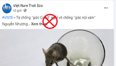 Việt Nam chống tham nhũng có thua chống dịch?