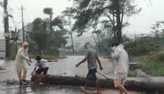 CSGT Đắk Nông dầm mưa cùng người dân dọn cây gỗ lớn đổ ngang đường