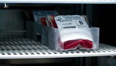 Lượng máu dự trữ tại TP.HCM không đủ cấp cho các bệnh viện trong 5 ngày tới