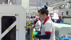 Đề nghị tạm dừng hoạt động 8 xưởng sản xuất của công ty lớn nhất Long An
