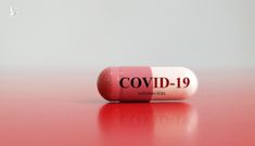 Chấm dứt đại dịch COVID -19: Không chỉ vắc xin, phải có thuốc!