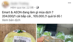 Sự thật thông tin giá tăng phi mã, bắp cải Việt Nam giá 250.000 đồng/kg