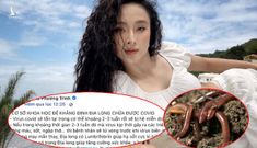 Bộ Y tế lên tiếng về việc Angela Phương Trinh lan truyền chữa trị Covid-19 bằng giun đất