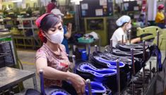 Tổ công tác đặc biệt của Thủ tướng đang làm những gì?
